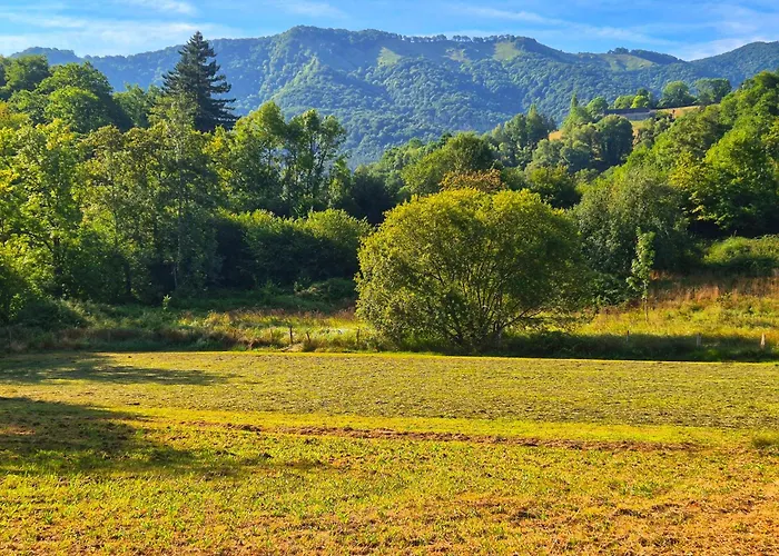 Yourte Mongole Traditionnelle Κάμπινγκ *