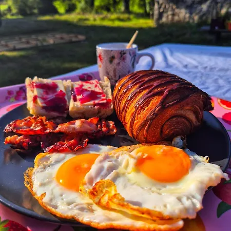 Yourte Mongole Traditionnelle Kemp Saint-Pé-de-Bigorre