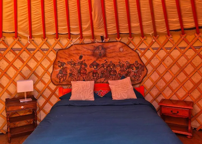 Campingplads Yourte Mongole Traditionnelle Saint-Pé-de-Bigorre