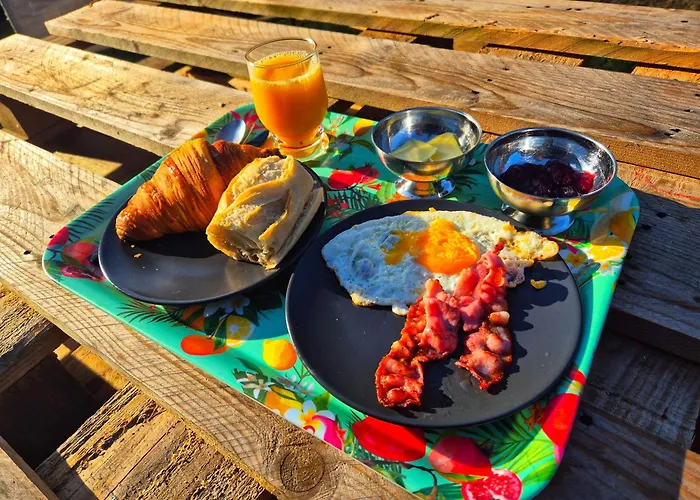 Yourte Mongole Traditionnelle Campingplads